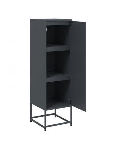 Credenza Antracite 36x39x123 cm in Acciaio