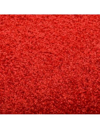 Zerbino Lavabile Rosso 90x120 cm