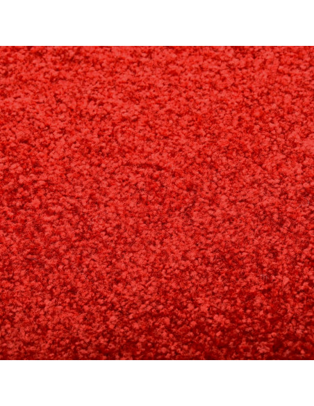 Zerbino Lavabile Rosso 90x120 cm