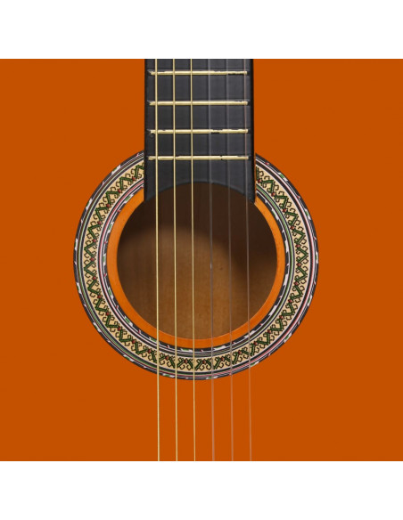 Chitarra Classica per Principianti con Custodia 4/4 39"