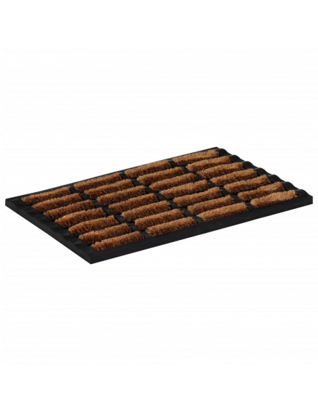 Zerbino Rettangolare 40x60 cm in Gomma e Fibra di Cocco