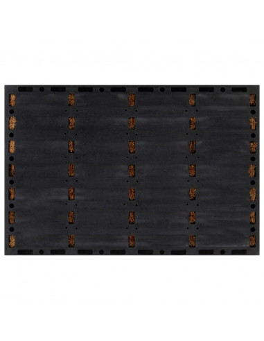 Zerbino Rettangolare 40x60 cm in Gomma e Fibra di Cocco