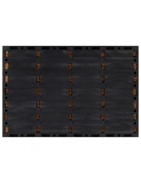 Zerbino Rettangolare 40x60 cm in Gomma e Fibra di Cocco