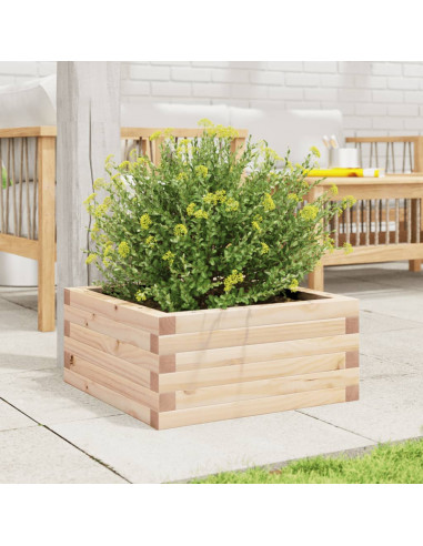 Fioriera da Giardino 50x50x23 cm in Legno Massello di Pino
