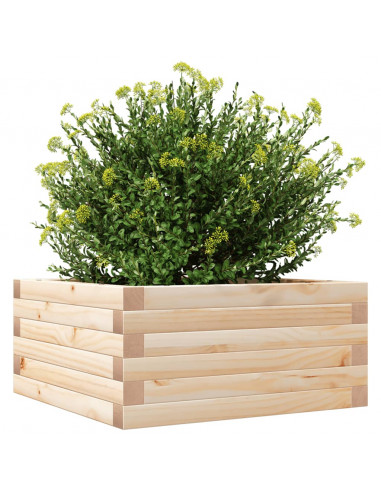 Fioriera da Giardino 50x50x23 cm in Legno Massello di Pino