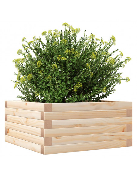 Fioriera da Giardino 50x50x23 cm in Legno Massello di Pino