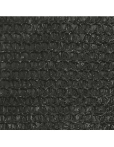 Vela Parasole 160 g/m² Antracite 4/5x3 m in HDPE