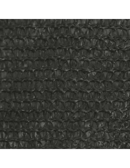 Vela Parasole 160 g/m² Antracite 4/5x3 m in HDPE