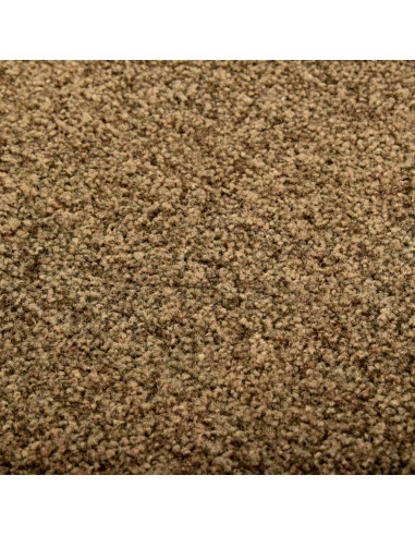 Zerbino Lavabile Marrone 60x180 cm