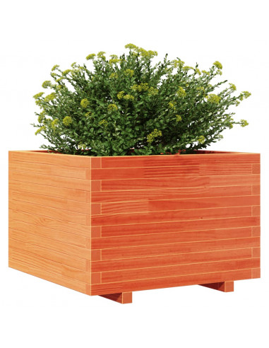 Fioriera Giardino Marrone Cera 70x70x49,5cm Legno Massello Pino