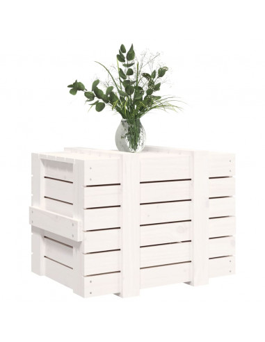 Contenitore Portaoggetti Bianco 58x40,5x42 cm Massello di Pino