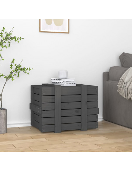 Contenitore Portaoggetti Grigio 58x40,5x42 cm Massello di Pino