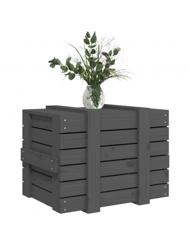 Contenitore Portaoggetti Grigio 58x40,5x42 cm Massello di Pino