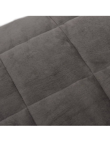 Coperta Ponderata Grigia 220x235 cm 11 kg Tessuto