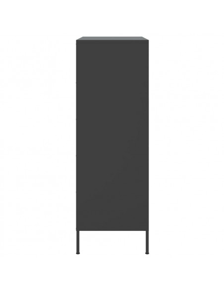 Credenza Nera 68x39x113 cm in Acciaio
