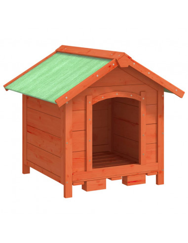 Cuccia per Cani Marrone 65x65x61,5 cm in Legno Massello di Pino
