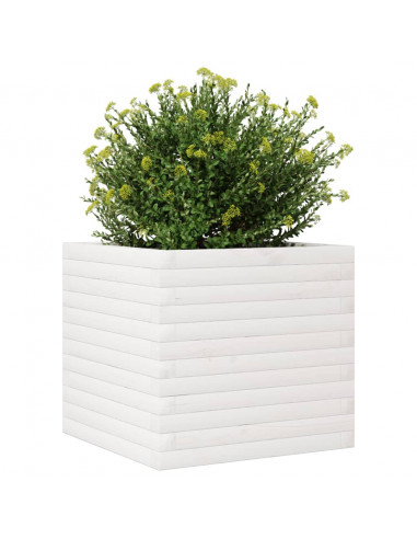 Fioriera da Giardino Bianca 50x50x45,5cm Legno Massello di Pino