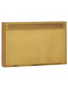 Mobile a Specchio 60x10x40 cm in Legno Massello di Teak