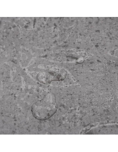 Listoni Pavimenti Non Autoadesivi 5,26m² 2mm Cemento Marrone