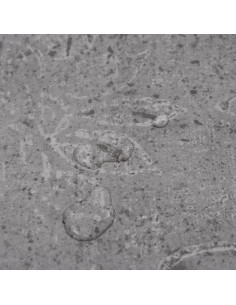 Listoni Pavimento PVC 5,02 m² 2 mm Autoadesivi Marrone Cemento