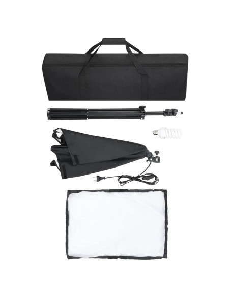 Luci Professionali da Studio 2 pz 40x60 cm in Acciaio Nero