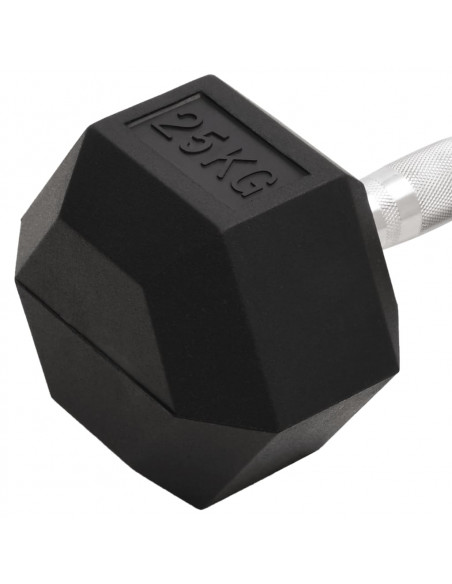 Manubrio 25 kg Ghisa