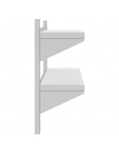 Mensola a Muro 2 Ripiani 100x23,5x60cm Argento in Acciaio Inox
