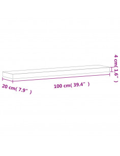 Mensola a Parete 100x20x4 cm in Legno Massello di Faggio