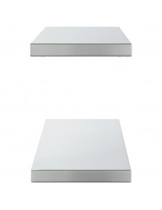 Mensole a Muro 2pz 100x23,5x3cm Argento in Acciaio Inossidabile