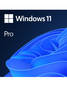 MICROSOFT WINDOWS 11 Pro FPP 64-BIT ITALIAN USB HAV-00210