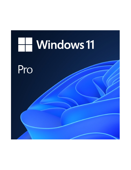 MICROSOFT WINDOWS 11 Pro FPP 64-BIT ITALIAN USB HAV-00210