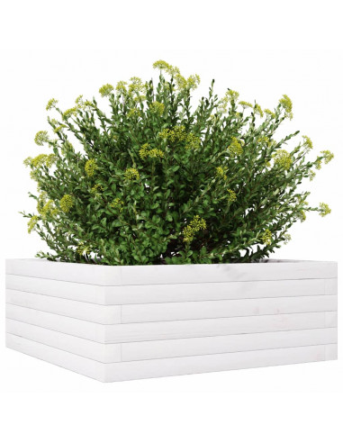 Fioriera da Giardino Bianca 60x60x23 cm Legno Massello di Pino