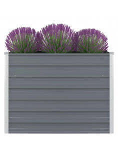 Letto di Coltura Rialzato 100x100x77 cm in Acciaio Zincato Grigio 2