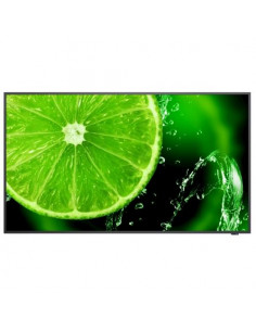 MONITOR NEC LED 65'' MultiSync E658 16:9 3840x2160 8ms 350cd/m² 1.200:1 2X10W MM VGA 3HDMI 1 USB 1USB-C Media Player Integrato