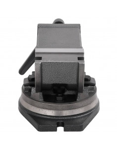 Morsa Inclinabile a 2 Assi 100 mm