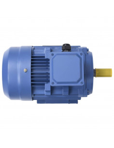 Motore Elettrico Trifase in Alluminio 1,5kW/2HP 2 Poli 2840 RPM