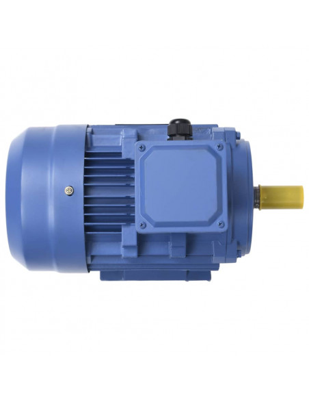 Motore Elettrico Trifase in Alluminio 1,5kW/2HP 2 Poli 2840 RPM