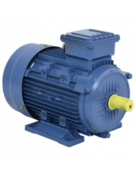 Motore Elettrico Trifase in Alluminio 3kW/4HP 2 Poli 2840 RPM