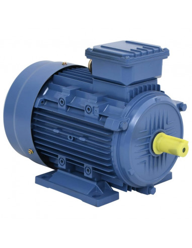 Motore Elettrico Trifase in Alluminio 4kW/5,5HP 2 Poli 2840 RPM