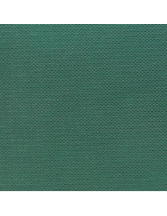 Nastro Adesivo per Erba Artificiale 0,15x10 m Verde