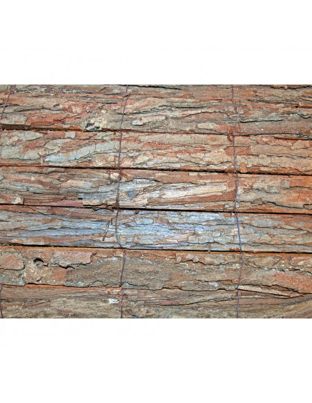 Nature Scherno Giardino Corteccia Pino Naturale 1x3 m Spessore 5 mm