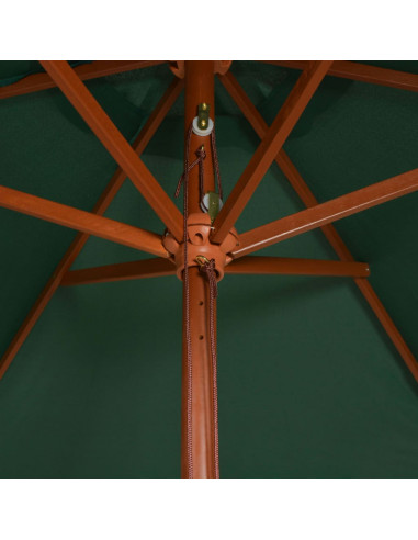Ombrellone 200x300 cm con Palo in Legno Verde