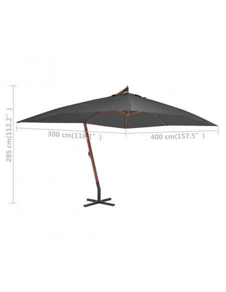 Ombrellone a Sbalzo con Palo in Legno 400x300cm Antracite