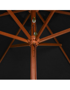 Ombrellone da Esterni con Palo in Legno 200x300 cm Nero