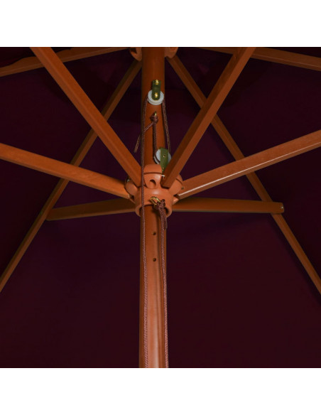 Ombrellone da Esterni con Palo in Legno 200x300 cm Rosso Bordò