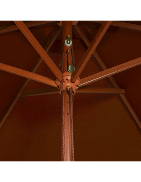 Ombrellone da Esterni con Palo in Legno 200x300 cm Terracotta