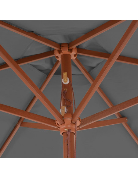 Ombrellone da Esterni con Palo in Legno 270 cm Antracite