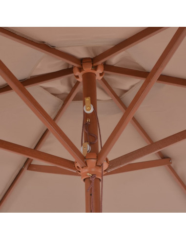 Ombrellone da Esterni con Palo in Legno 270cm Grigio Talpa