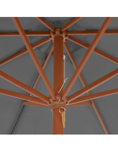 Ombrellone da Esterni con Palo in Legno 300 cm Antracite