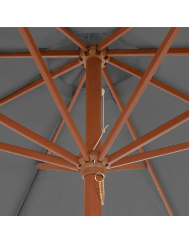 Ombrellone da Esterni con Palo in Legno 300 cm Antracite